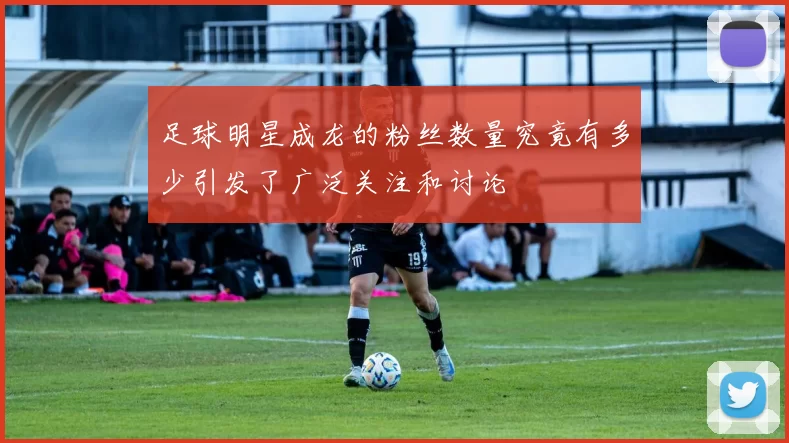 足球明星成龙的粉丝数量究竟有多少引发了广泛关注和讨论