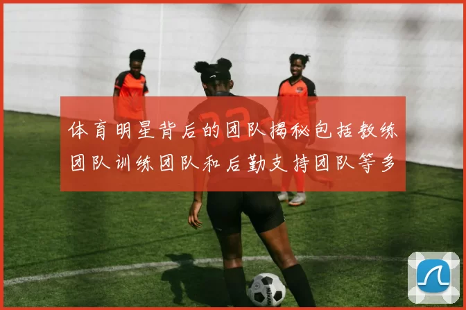 体育明星背后的团队揭秘包括教练团队训练团队和后勤支持团队等多方面分析